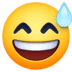 :sweat_smile: :sweat_smile:
